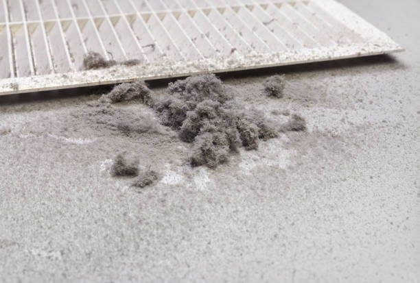 Best Professional Duct Cleaning Services  in Munday, TX